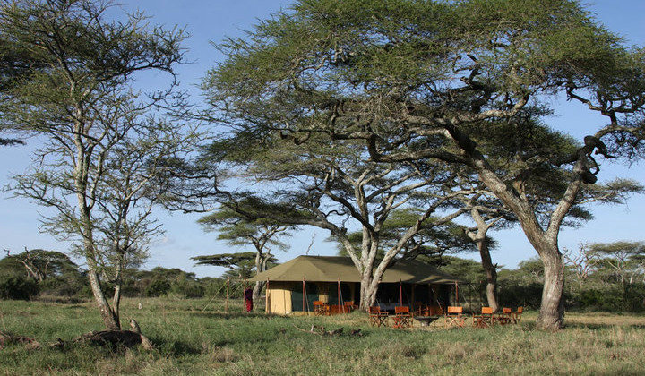 Lemala Ndutu Safari Camp (2)
