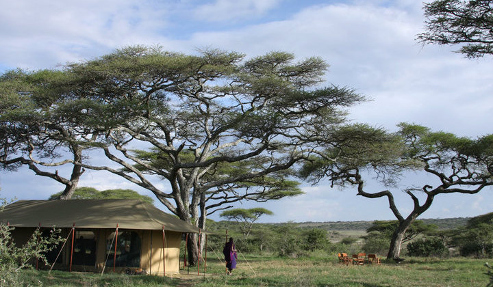 Lemala Ndutu Safari Camp (3)