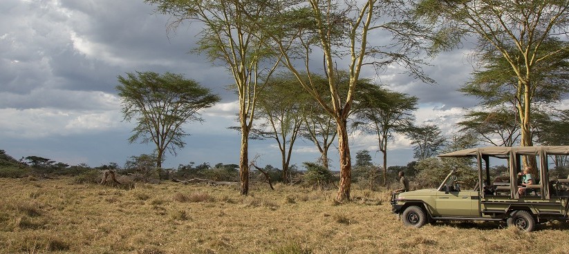 Namiri-Plains-Serengeti-Luxury-Safari-Game-Drive-Main