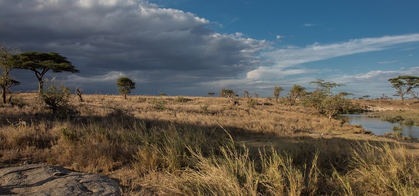 Namiri-Plains-Serengeti-Luxury-Safari-Landscape-Main
