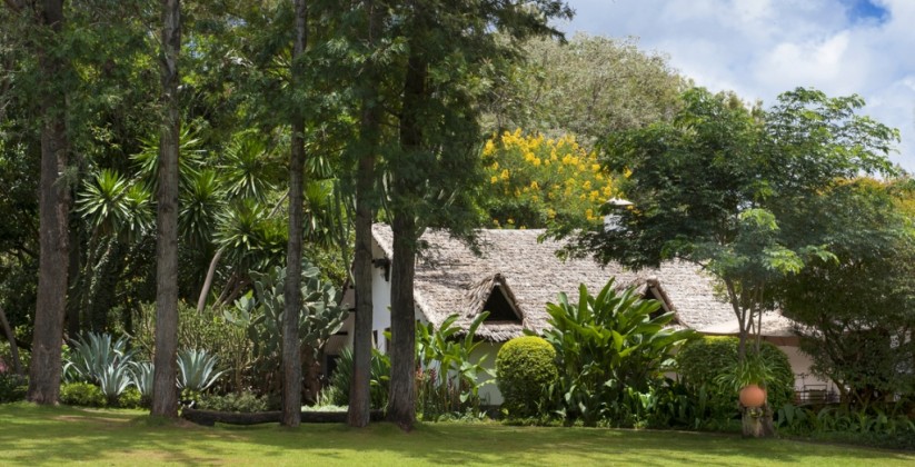 Plantation Lodge Tanzania (14)