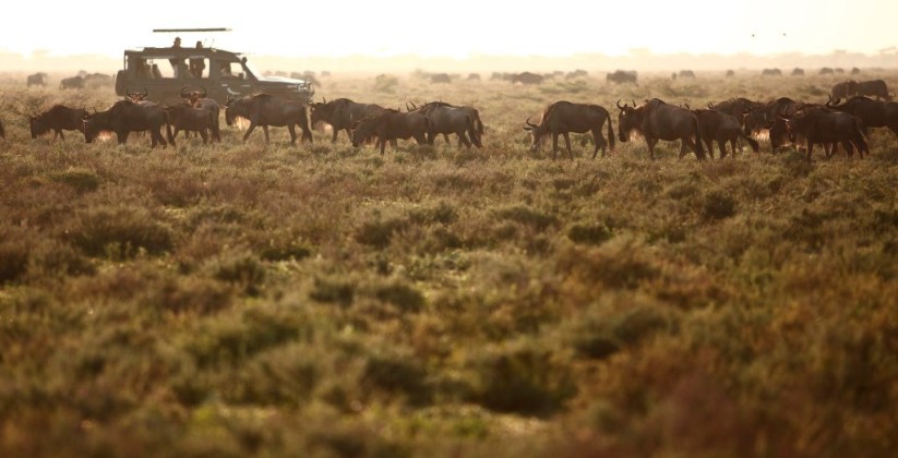 Serengeti Under Canvas (1)