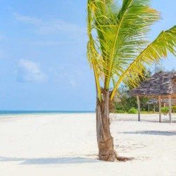 Zanzibar-Kono-Kono-Beach