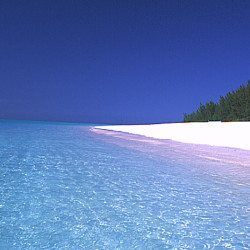 Zanzibar-Mnemba-Island-Lodge-Ocean