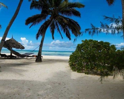 Zanzibar-Pongwe-Beach-Hotel-Hammock