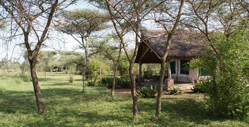 Ikoma Tented Camp – Serengeti (1)