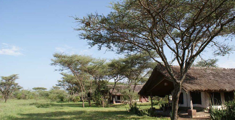 Ikoma Tented Camp – Serengeti (12)