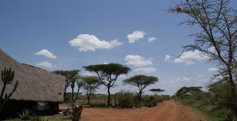Ikoma Tented Camp – Serengeti (5)