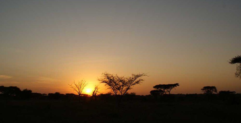Ikoma Tented Camp – Serengeti (6)