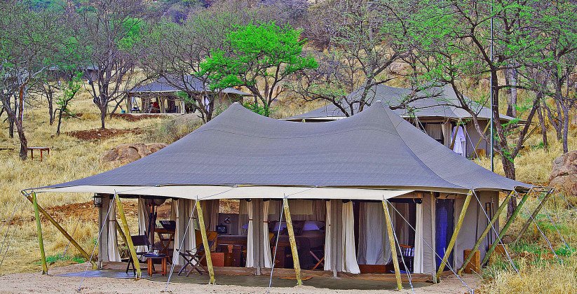 Serengeti Pioneer Camp (11)