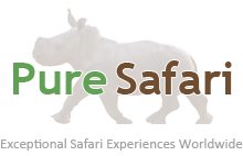 pure-safari-logo-with-tagline