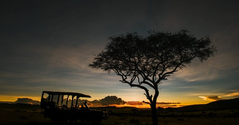 Buffalo Luxury Camp – Serengeti, Tanzania (6)